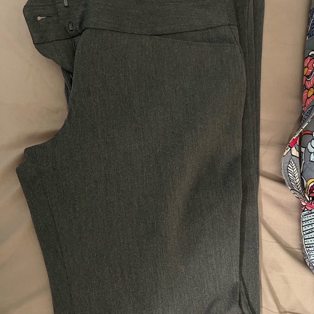 Express Editor Pants